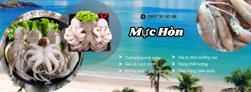 Mực câu Hòn Sơn, Bạch Tuộc Hòn Sơn